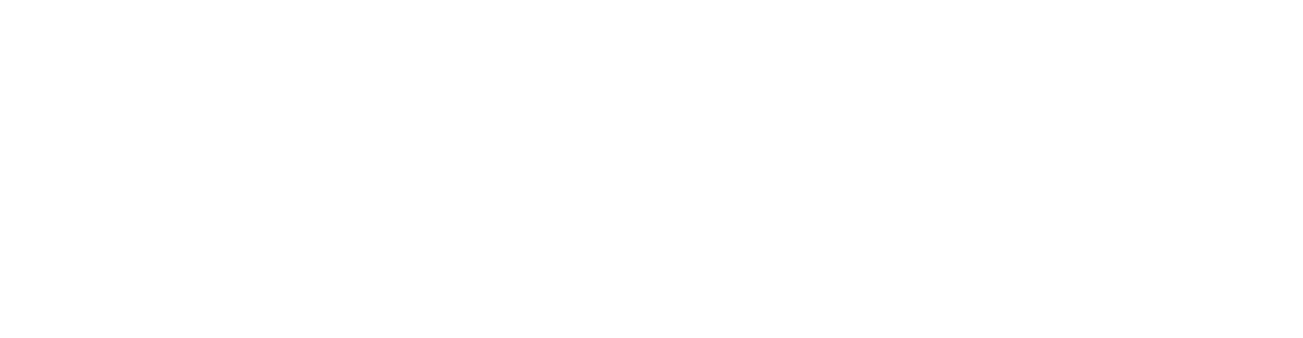 Enlion Logo